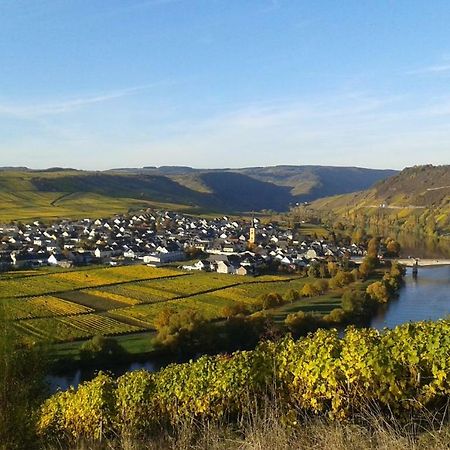Отель Wein & Gastehaus Hermeshof Триттенхайм Экстерьер фото