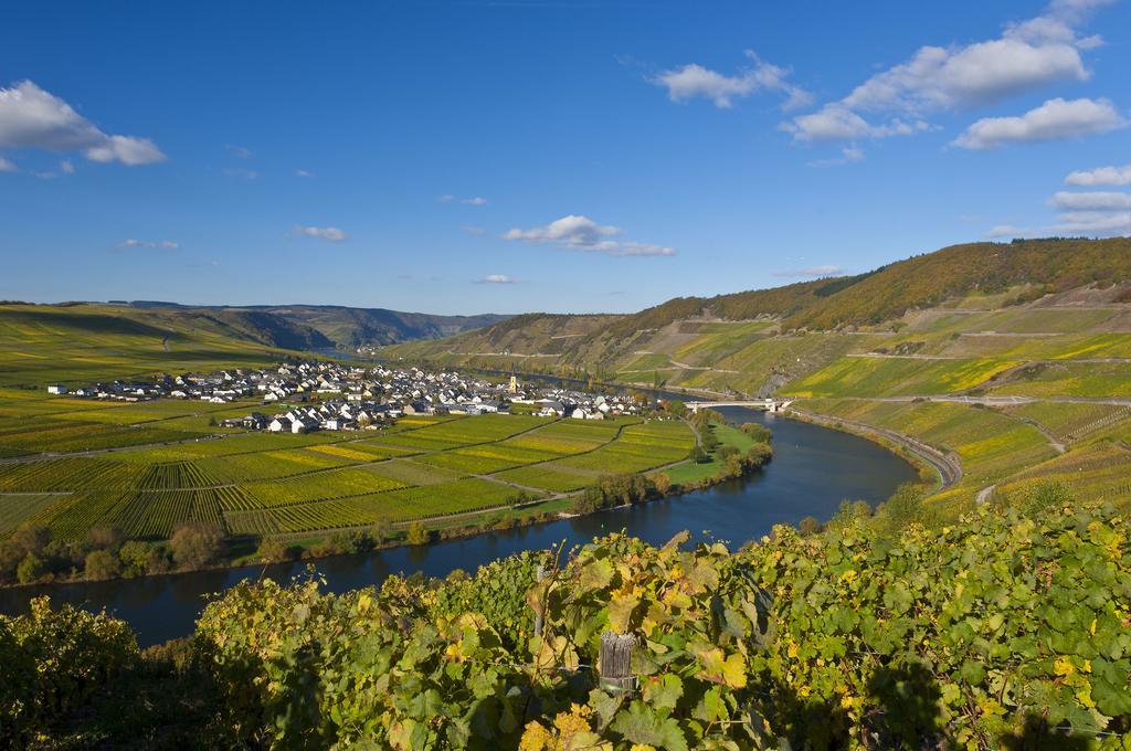 Отель Wein & Gastehaus Hermeshof Триттенхайм Экстерьер фото