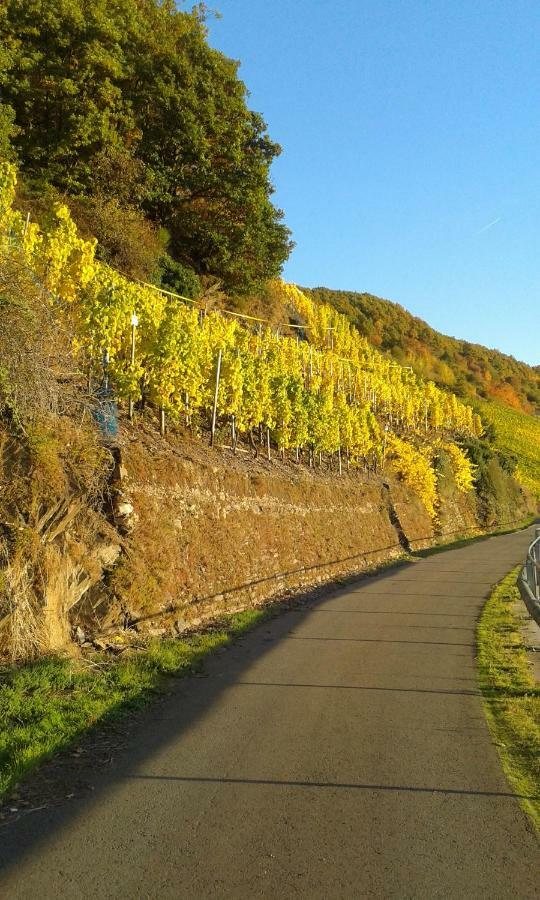 Отель Wein & Gastehaus Hermeshof Триттенхайм Экстерьер фото